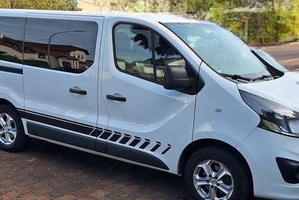 Opel Vivaro 167.000 km 12.000 &euro; Nalbach 66809