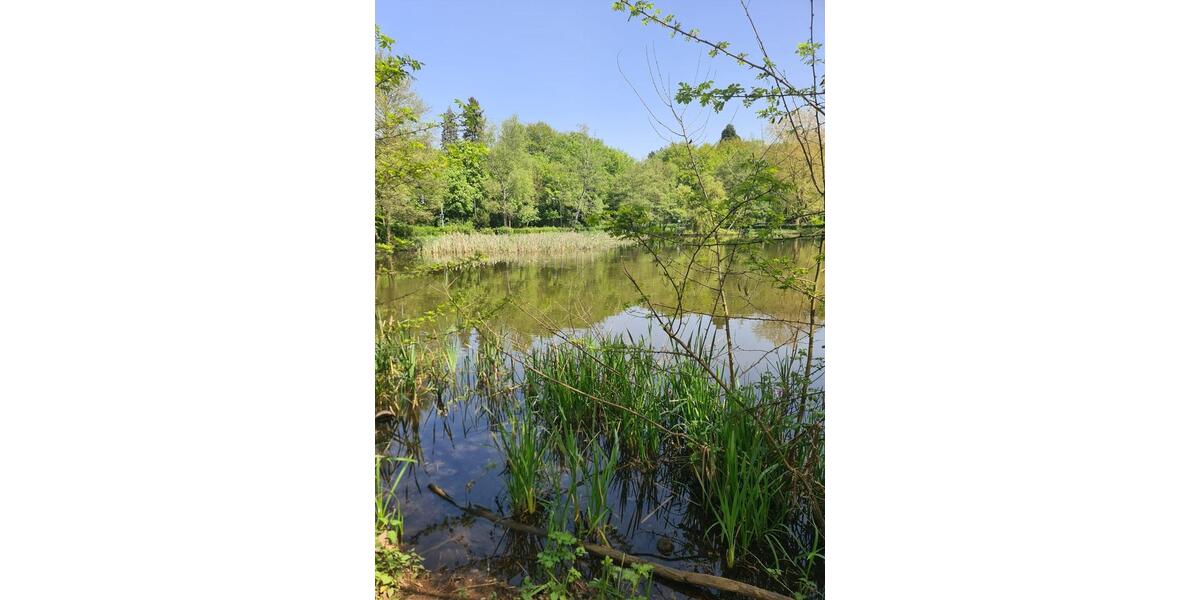 Terrassenwohnung Saarbrücken Kieselhumes - 1.5 Zimmer, 54 m&sup2;, 600&euro; | Angebot:25415237