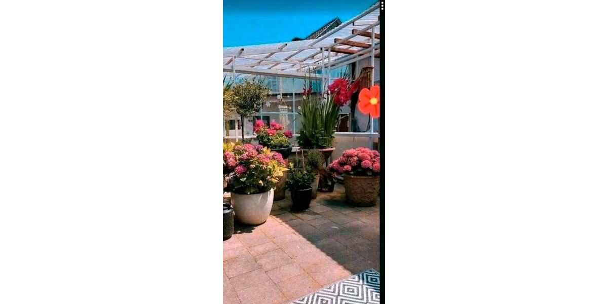 Einfamilienhaus Homburg - 5 Zimmer, 125 m&sup2;, 295.000&euro; | Angebot:26824252