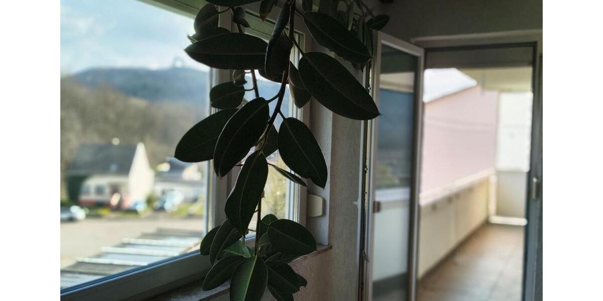 Etagenwohnung Saarlouis - 5 Zimmer, 110 m&sup2;, 180.000&euro; | Angebot:25898709