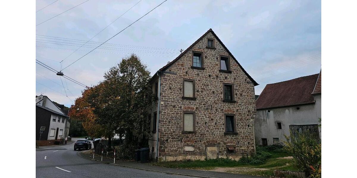 Einfamilienhaus Sankt Wendel - 9 Zimmer, 223 m&sup2;, 160.000&euro; | Angebot:23163782
