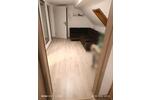 Dachgeschoßwohnung Neunkirchen - 2 Zimmer, 40 m&sup2;, 700&euro; | Angebot:26694584