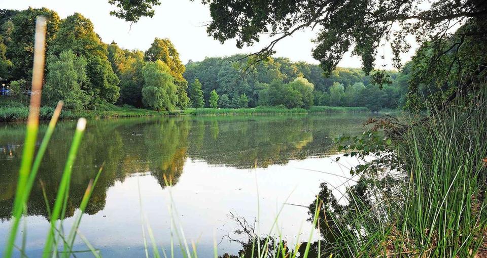 Maisonettenwohnung Großrosseln - 4 Zimmer, 125 m&sup2;, 980&euro; | Angebot:25811105