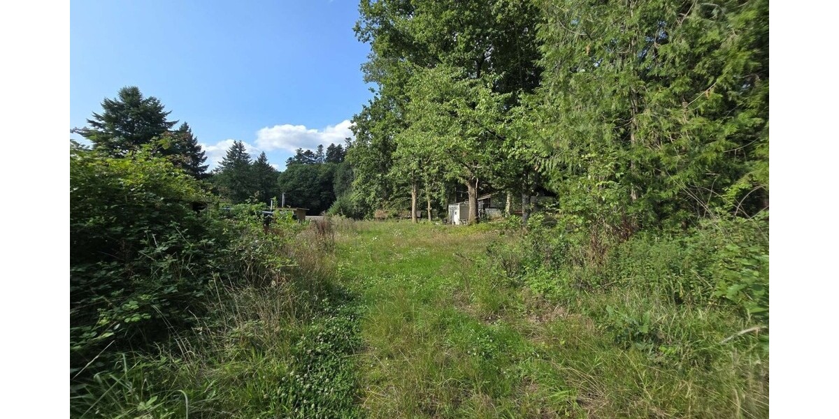 Ihr Rückzugsort in der Natur – Ferienhaus 