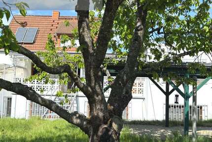 Haus Homburg - 7 Zimmer, 140 m&sup2;, 299.000&euro; | Angebot:26627021