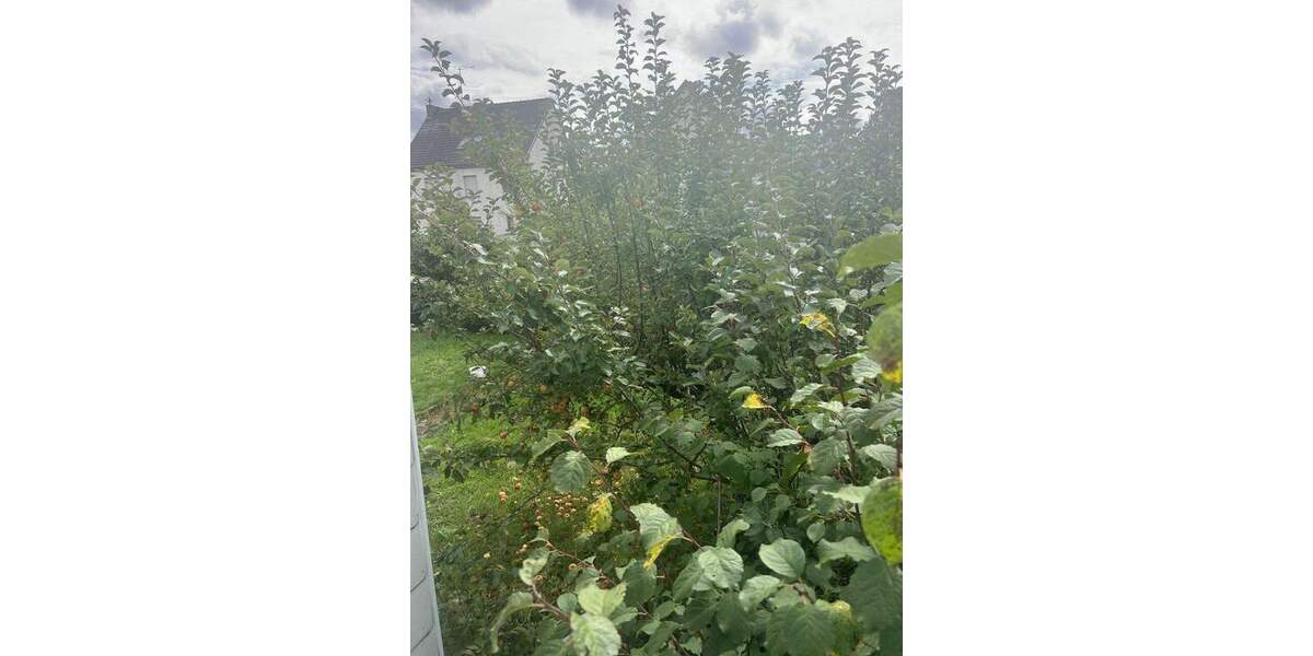 Einfamilienhaus Lebach - 6 Zimmer, 148 m&sup2;, 159.000&euro; | Angebot:25663147