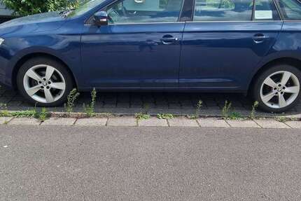 Skoda Rapid/Spaceback 153.000 km 8.800 &euro; Homburg 66424