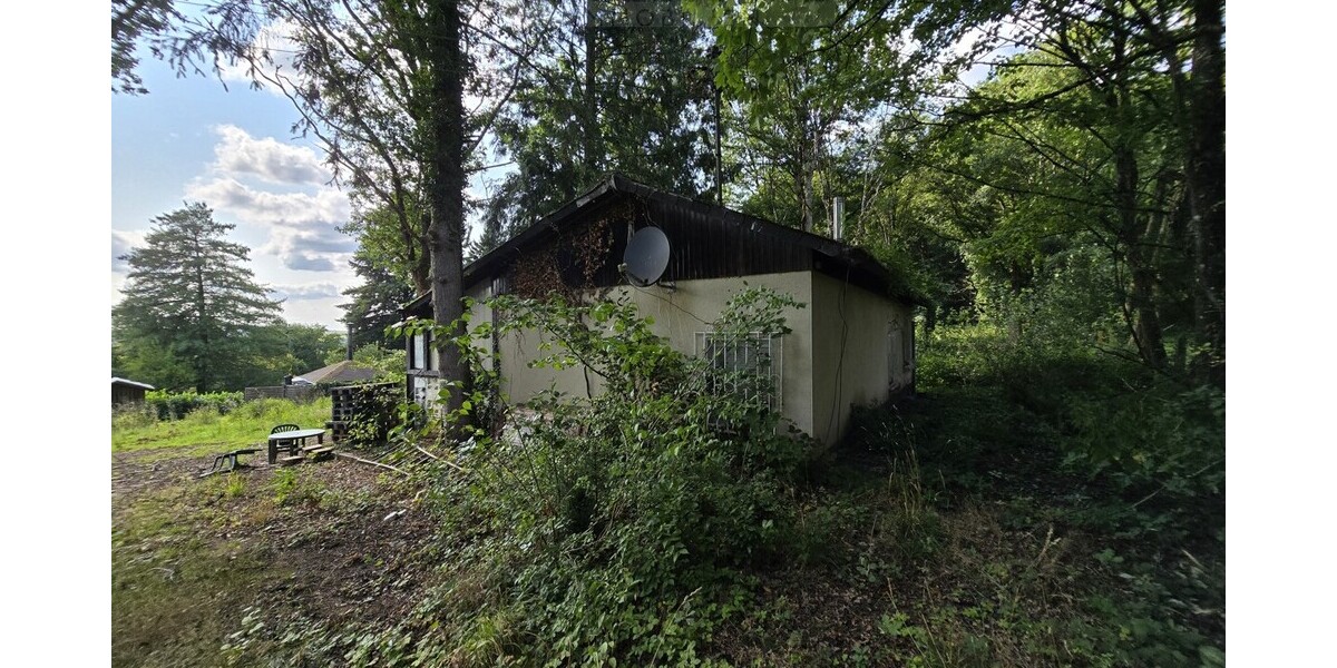Ihr Rückzugsort in der Natur – Ferienhaus 
