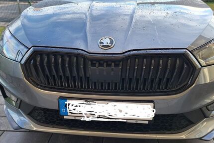 Skoda Fabia 4.000 km 20.500 &euro; Lebach 66822