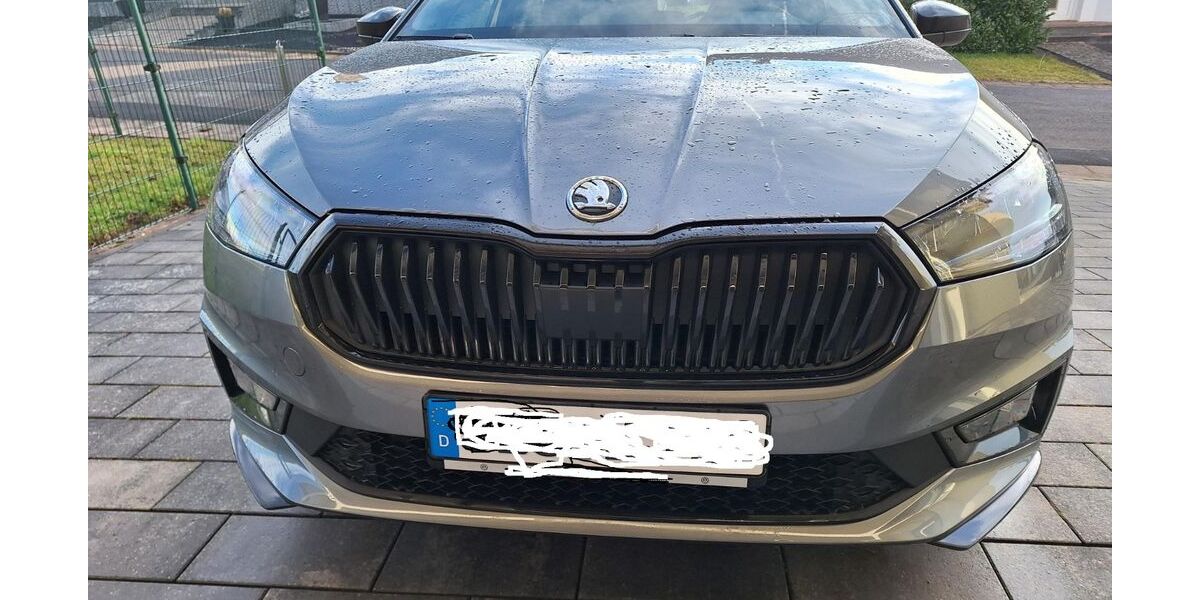 Skoda Fabia 4.000 km 20.500 &euro; Lebach 66822