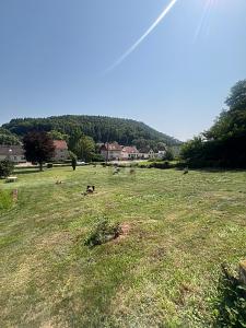 FLEXIBEL BAUEN, TOLLE GRÖSSE, GUTE LAGE - Grundstück Beckingen | Angebot:26008107