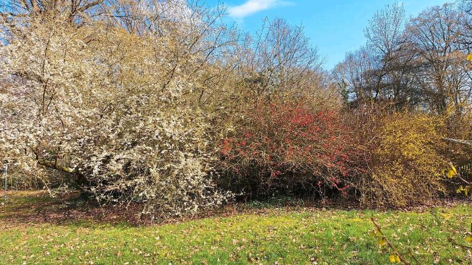 Etagenwohnung Saarbrücken St. Arnual - 3 Zimmer, 86 m&sup2;, 650&euro; | Angebot:25311979