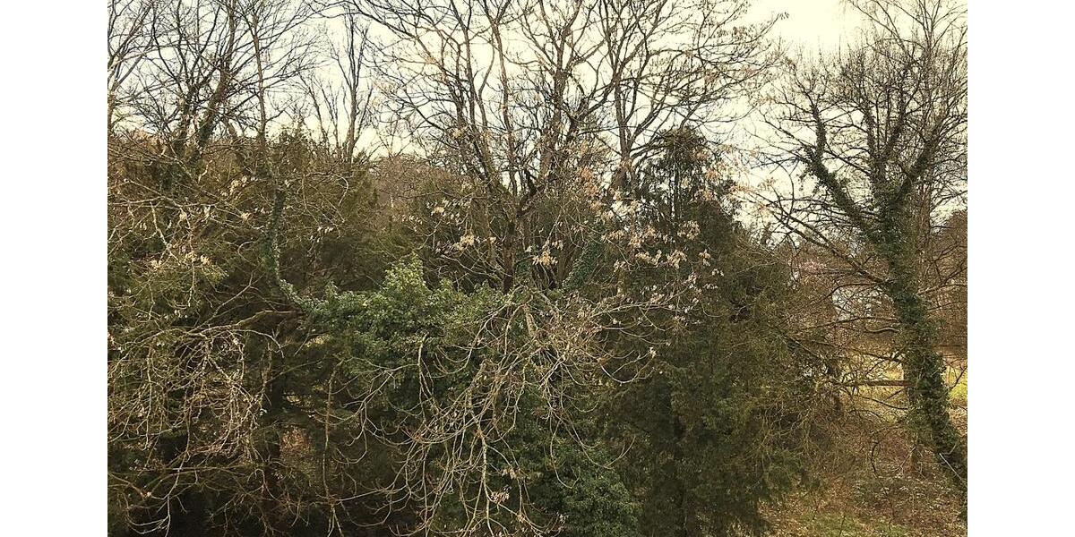 Dachgeschoßwohnung Saarbrücken - 5 Zimmer, 147 m&sup2;, 995&euro; | Angebot:25853646