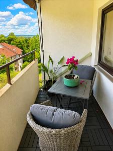 ZUHAUSE MIT WOHLFÜHLCHARAKTER - Etagenwohnung Dillingen | Angebot:27002850