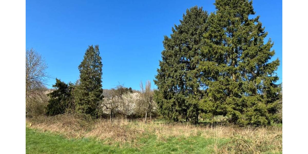 Einfamilienhaus Püttlingen - 7 Zimmer, 113 m&sup2;, 115.000&euro; | Angebot:26685705