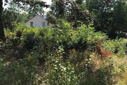 Grundstück Homburg Schwarzenbach - 588.000&euro; | Angebot:25697920