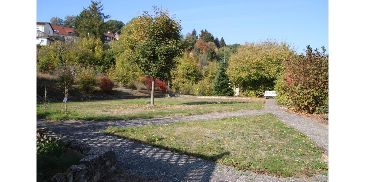 Dachgeschoßwohnung Blieskastel - 1 Zimmer, 55 m&sup2;, 715&euro; | Angebot:25292496