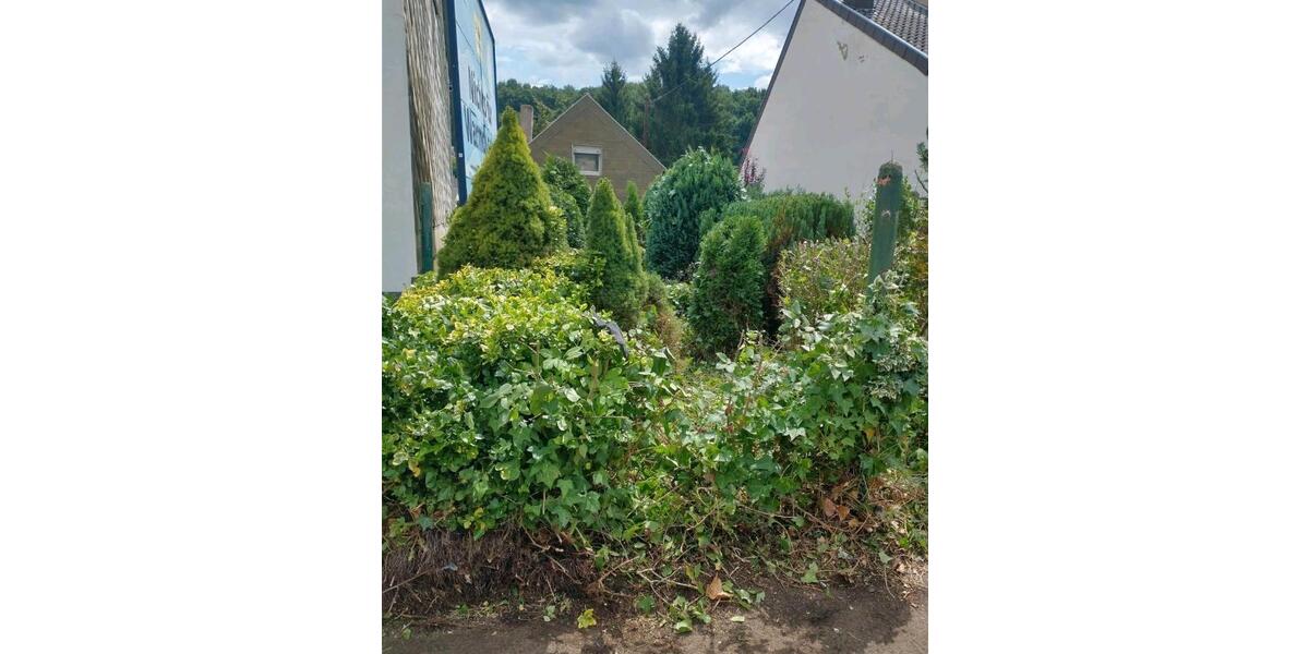 Einfamilienhaus Völklingen - 3 Zimmer, 60 m&sup2;, 45.000&euro; | Angebot:25645701