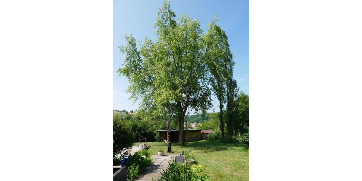 Einfamilienhaus Zweibrücken - 495.000&euro; | Angebot:26488854