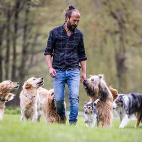 Sami El Ayachi - Der zugewandte Hund! 06.03.2027 Congresshalle - Saal Ost