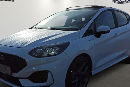Ford Fiesta 22.905 km 18.890 &euro; Völklingen 66333