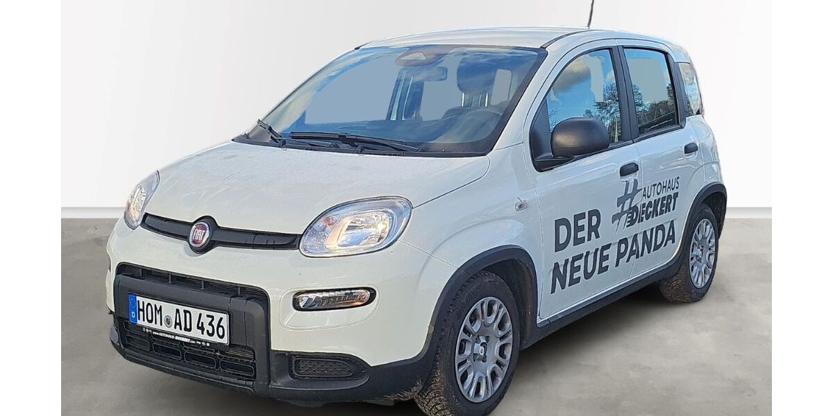 Fiat Panda 15.000 km 13.990 &euro; Homburg 66424