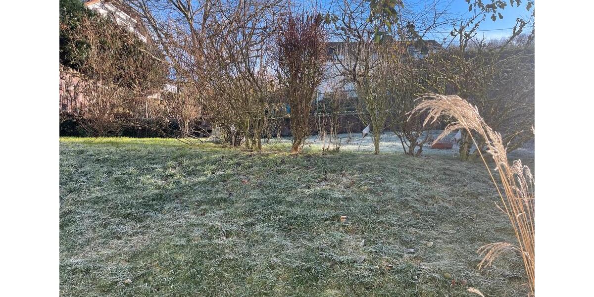 Etagenwohnung Tholey - 2 Zimmer, 65 m&sup2;, 680&euro; | Angebot:25886831