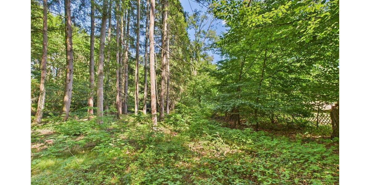 Grundstück Schmelz - 70.000&euro; | Angebot:25687201