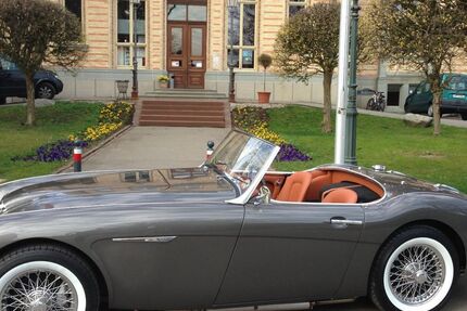Austin Healey Andere 3.500 km 89.000 &euro; Schmelz 66839