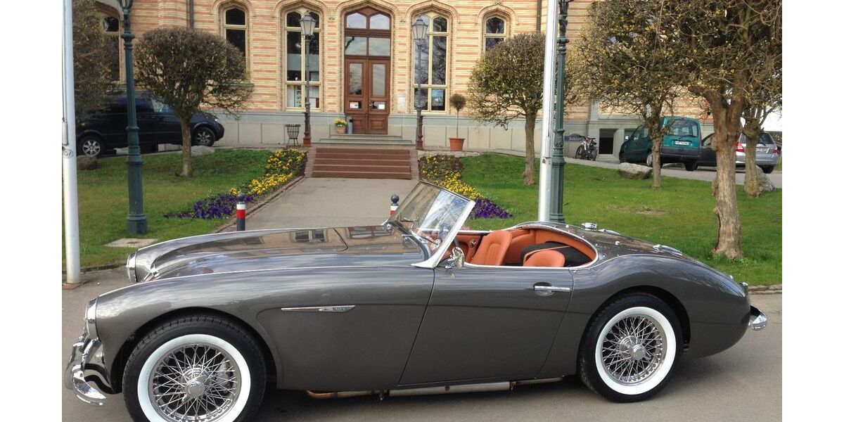 Austin Healey Andere 3.500 km 89.000 &euro; Schmelz 66839