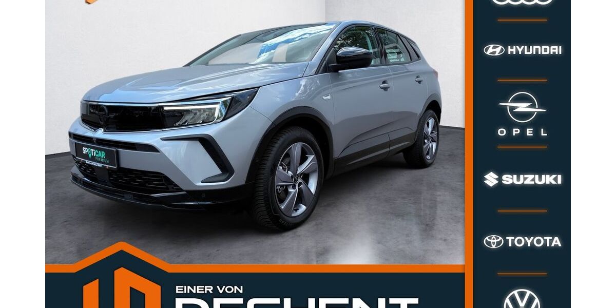 Opel Grandland (X) 8.302 km 21.890 &euro; Saarbrücken 66121