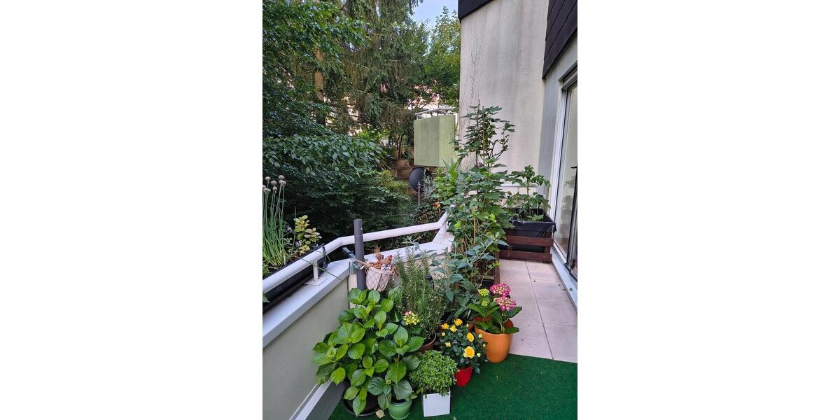 Etagenwohnung Blieskastel - 2 Zimmer, 74 m&sup2;, 780&euro; | Angebot:25436096