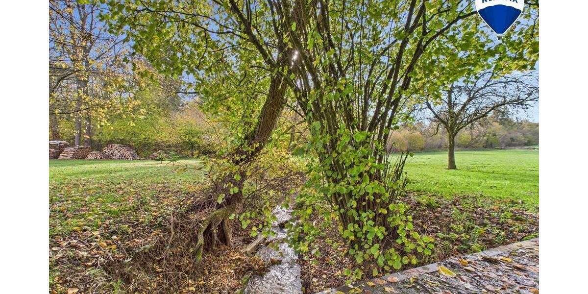 Einfamilienhaus Blieskastel / Ballweiler Wecklingen - 1 Zimmer, 210 m&sup2;, 95.000&euro; | Angebot:25819119