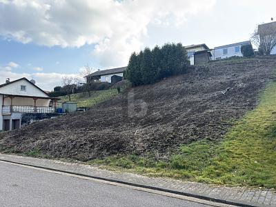 TOP LAGE, VIELE BAUMÖGLICHKEITEN, 765M² - Grundstück Beckingen | Angebot:26008091