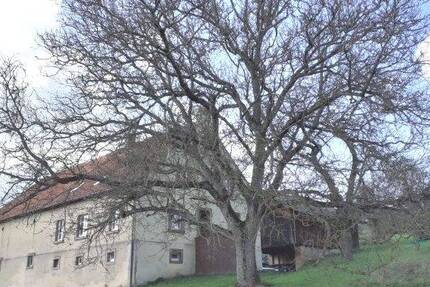 Haus Blieskastel Brenschelbach - 6 Zimmer, 160 m&sup2;, 245.000&euro; | Angebot:26628561