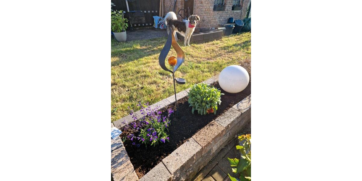 Mehrfamilienhaus, Wohnhaus Neunkirchen Heinitz - 8 Zimmer, 210 m&sup2;, 218.000&euro; | Angebot:25655086