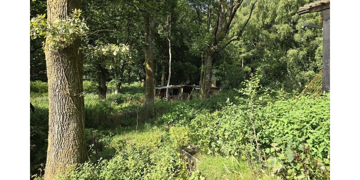 Ihr Rückzugsort in der Natur – Ferienhaus 