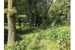 Ihr Rückzugsort in der Natur – Ferienhaus 