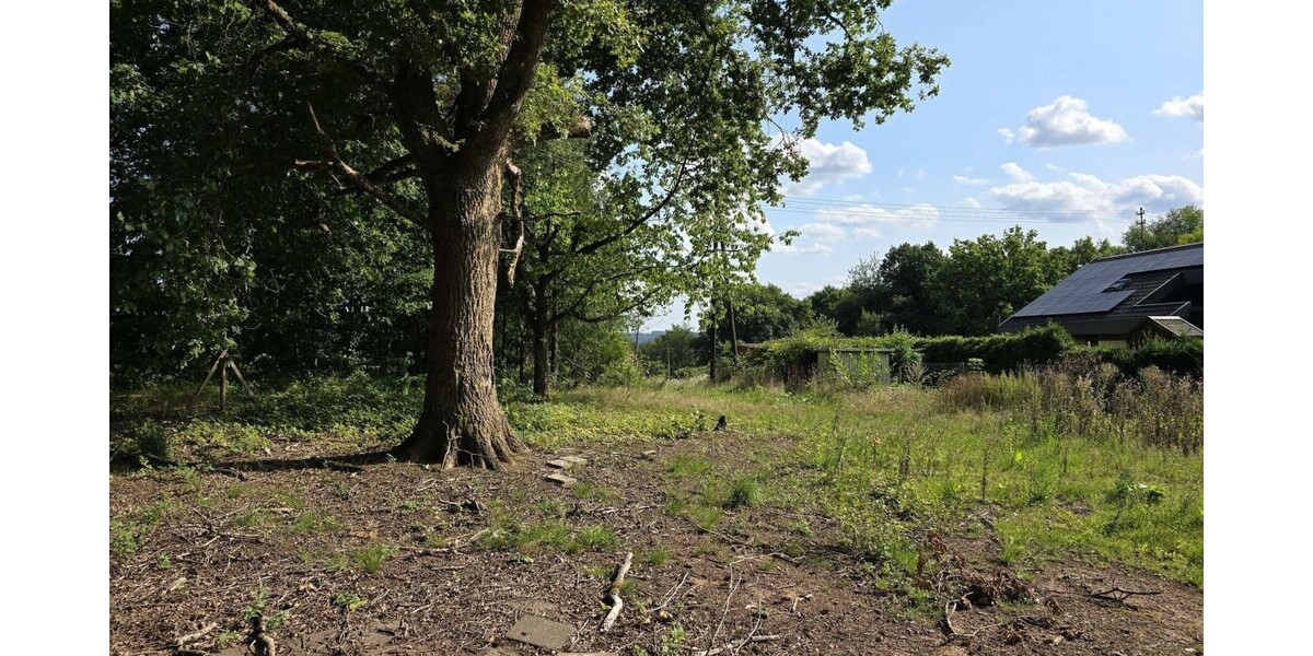 Ihr Rückzugsort in der Natur – Ferienhaus 