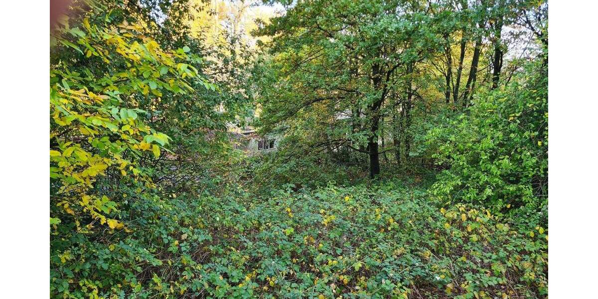 Grundstück Neunkirchen Innenstadt - 495.000&euro; | Angebot:25663077