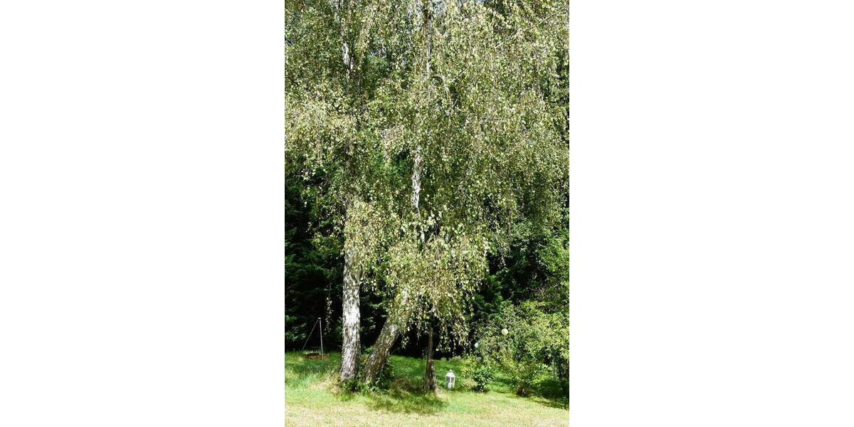 Dachgeschoßwohnung Saarbrücken Neue Bremm - 3 Zimmer, 86 m&sup2;, 520&euro; | Angebot:25766109