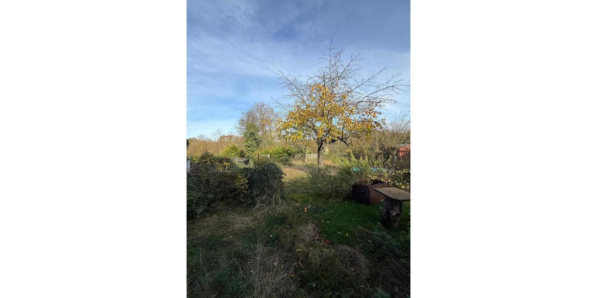 Doppelhaushälfte Gersheim - 6 Zimmer, 155 m&sup2;, 119.000&euro; | Angebot:26605200
