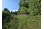 Ihr Rückzugsort in der Natur – Ferienhaus 