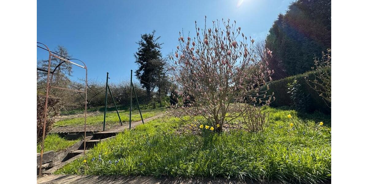 Bauernhaus, Landhaus Wallerfangen - 8 Zimmer, 200 m&sup2;, 160.000&euro; | Angebot:24801626