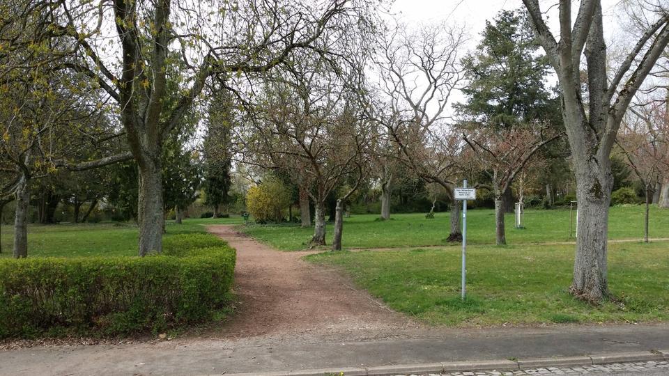 Erdgeschoßwohnung Völklingen - 2 Zimmer, 65 m&sup2;, 520&euro; | Angebot:25362964