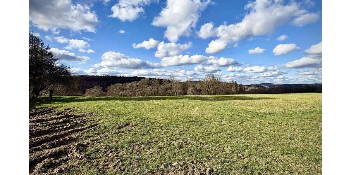 Grundstück Blieskastel - 195.000&euro; | Angebot:25920822