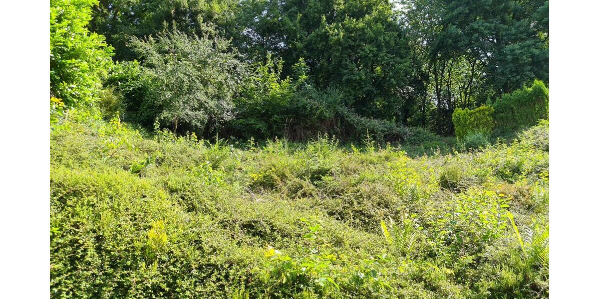 Mediterran gestaltetes Einfamilienhaus in schöner Stadtrandlage - Einfamilienhaus Zweibrücken | Angebot:21312569