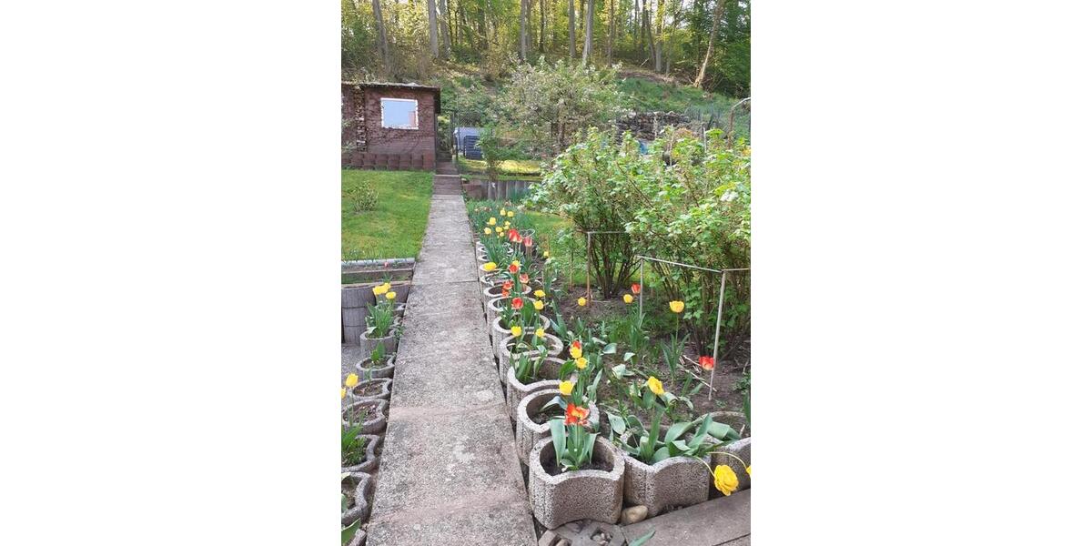 Doppelhaushälfte Blieskastel - 6 Zimmer, 125 m&sup2;, 199.000&euro; | Angebot:25637472