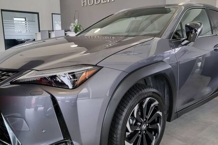 Lexus UX 18.664 km 23.800 &euro; Nalbach 66809