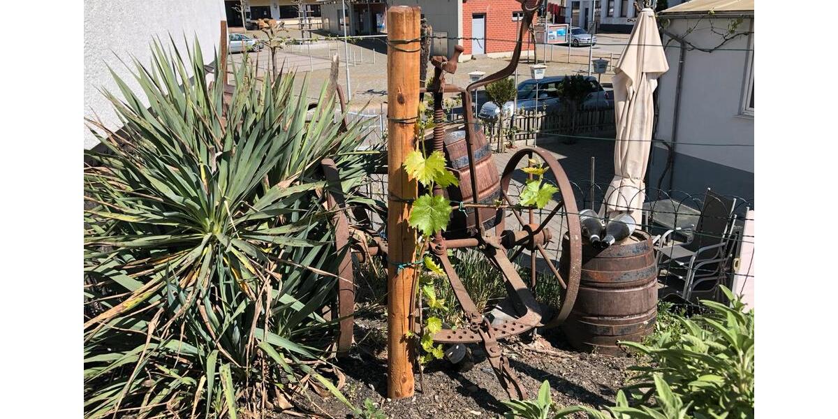 Gewerbeobjekt Friedrichsthal - 800&euro; | Angebot:26663537